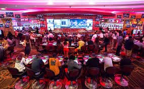 Wild Coaster live studio feed on bpo777 login